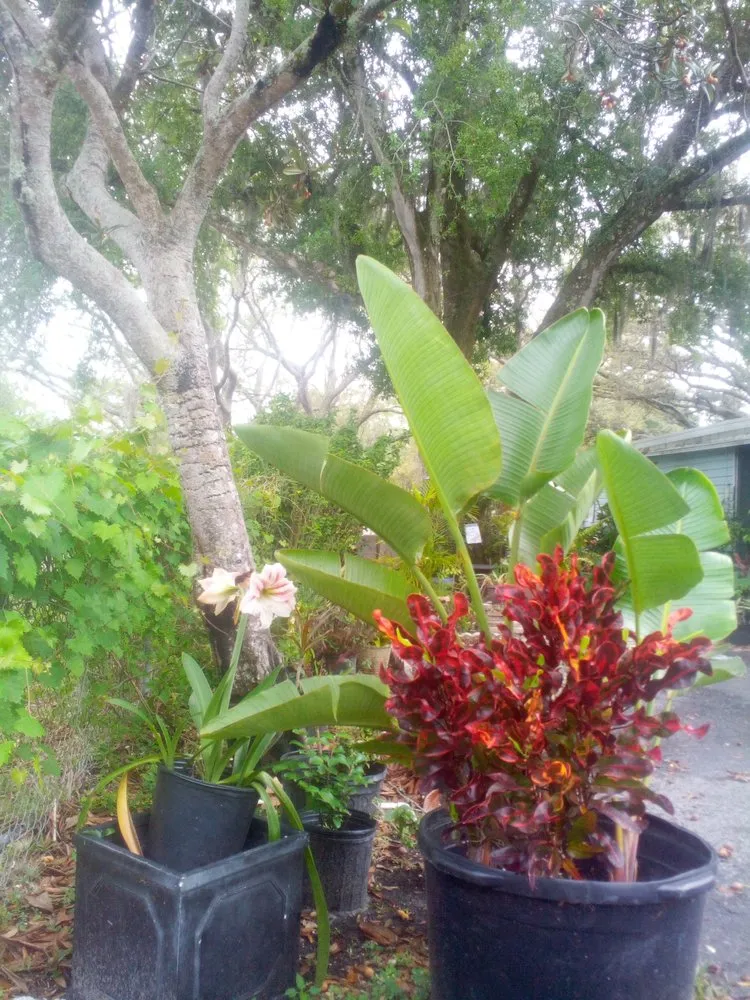 Professional lawn care service in Lutz, FL by RaeJay's Landscape and Irrigation Restorations