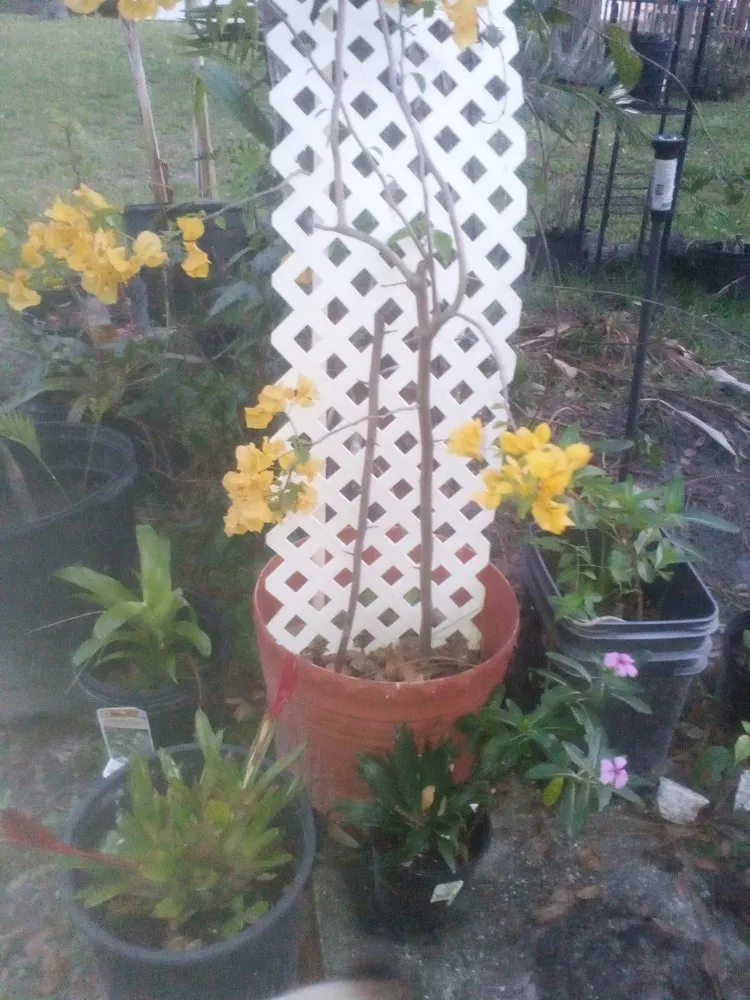 Top-rated landscape design in Lutz, FL by RaeJay's Landscape and Irrigation Restorations