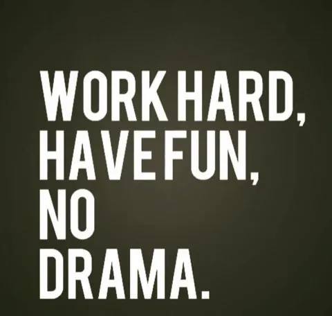 Custom landscape installation for outdoor upgrades across Lutz, FL - RaeJay's Landscape and Irrigation Restorations