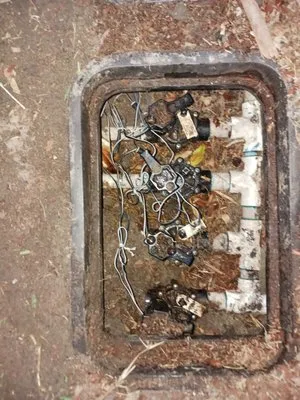 RaeJay's Landscape and Irrigation Restorations Logo