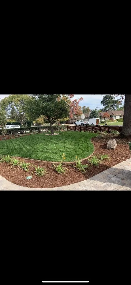 Affordable outdoor landscaping for residential properties across Salinas, CA - Rafa Carmona Gardening