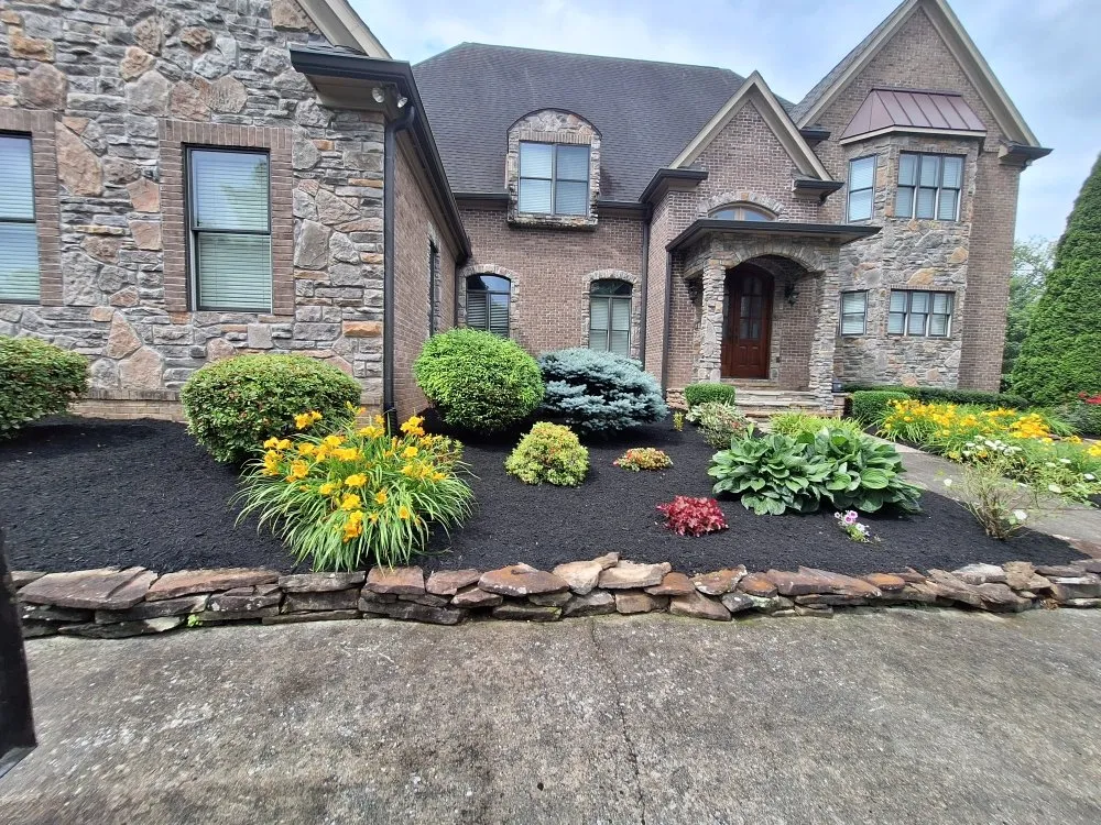 Professional yard cleanup service for year-round maintenance in Knoxville, TN by Rafael Francisco Landscaping