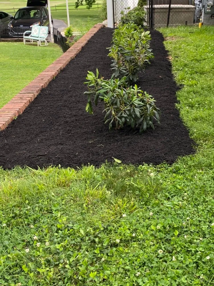 Reliable landscape installation experts serving Knoxville, TN - Rafael Francisco Landscaping