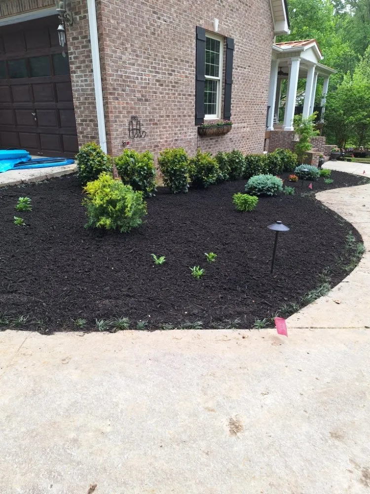 Expert yard maintenance near you in Knoxville, TN by Rafael Francisco Landscaping