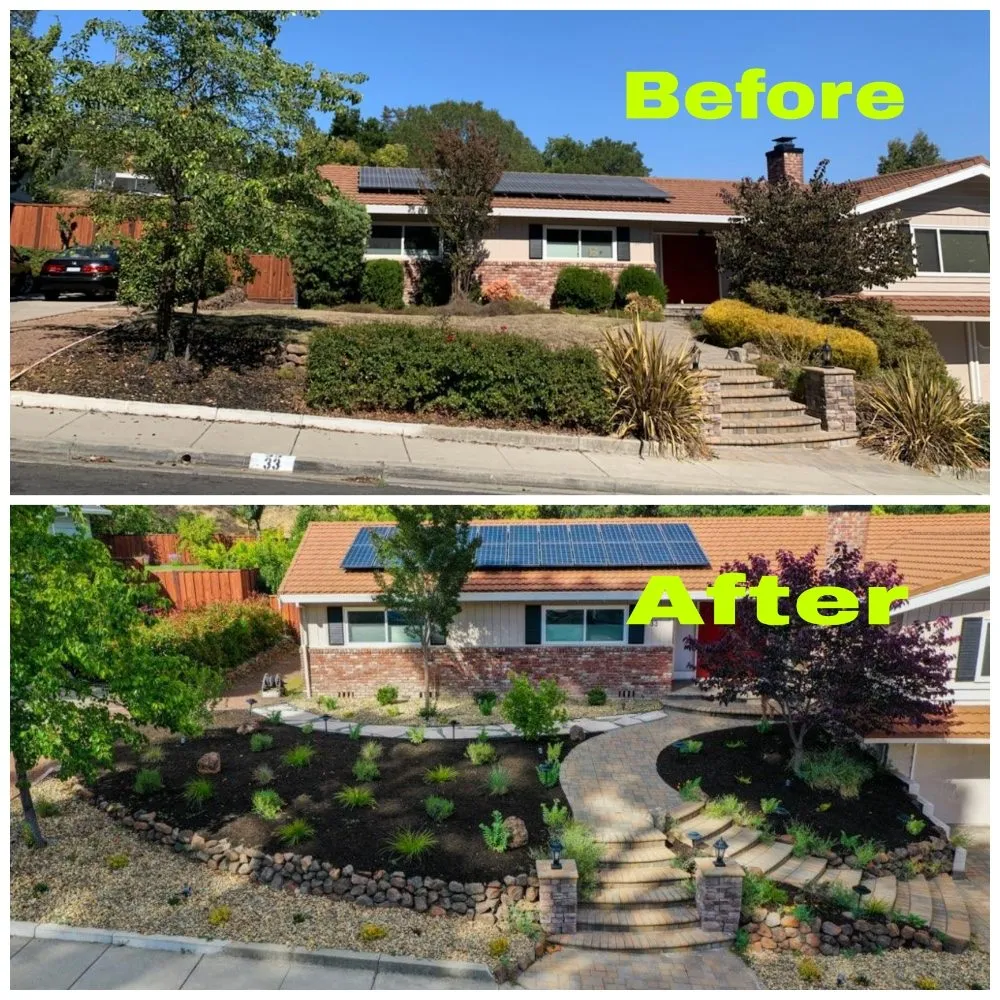 Top-rated landscaping services for residential properties across Bay Point, CA - Rafael Gardening Service