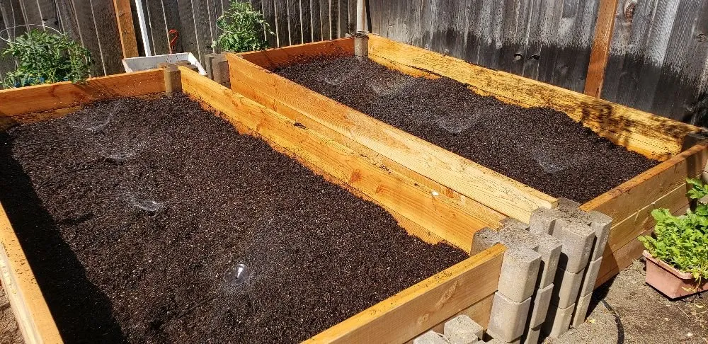 Top-rated yard cleanup service for year-round maintenance across Bay Point, CA - Rafael Gardening Service