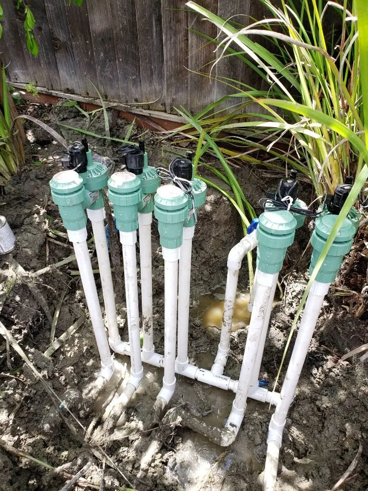 Custom yard cleanup service for year-round maintenance across Bay Point, CA - Rafael Gardening Service