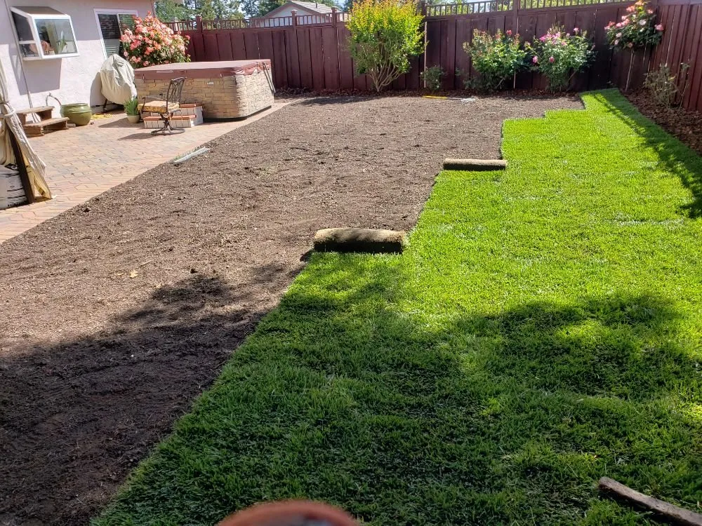 Reliable lawn care service experts serving Bay Point, CA - Rafael Gardening Service