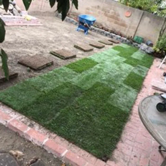 Local lawn care service in Stanton, CA by Rafael Gardening Services