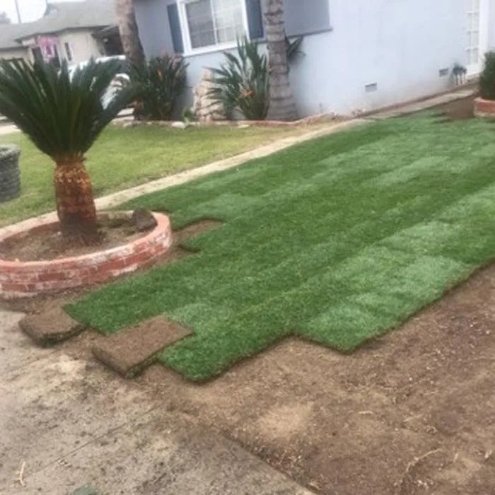 Expert lawn mowing service experts serving Stanton, CA - Rafael Gardening Services
