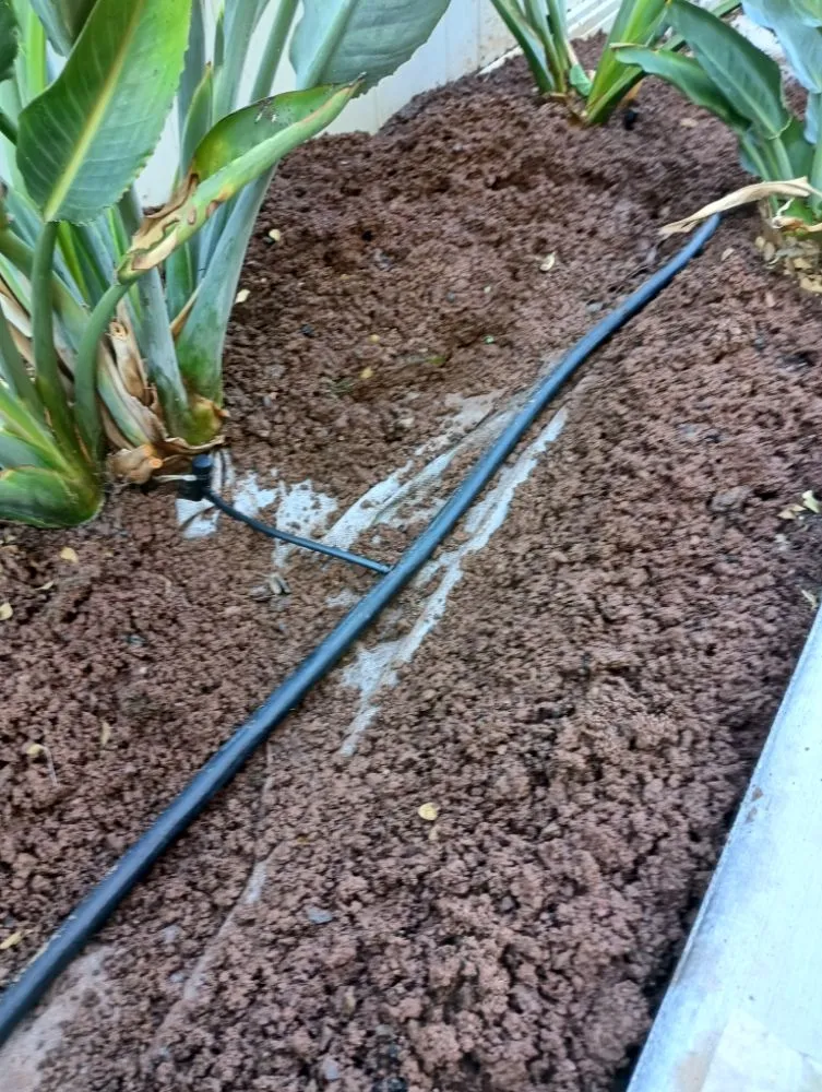 Expert yard cleanup service in Romoland, CA by Rafael Gil Landscape