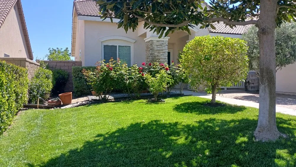 Local landscape design experts serving Romoland, CA - Rafael Gil Landscape