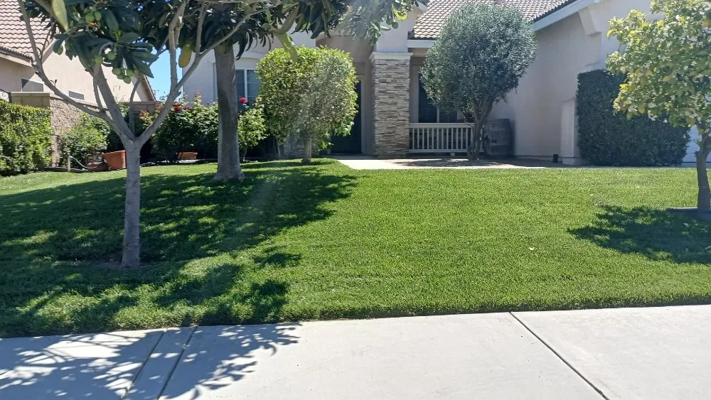 Professional landscape design for outdoor upgrades across Romoland, CA - Rafael Gil Landscape