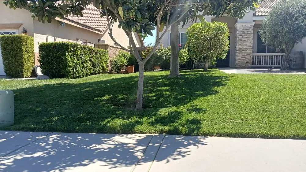 Professional landscape installation in Romoland, CA - Rafael Gil Landscape