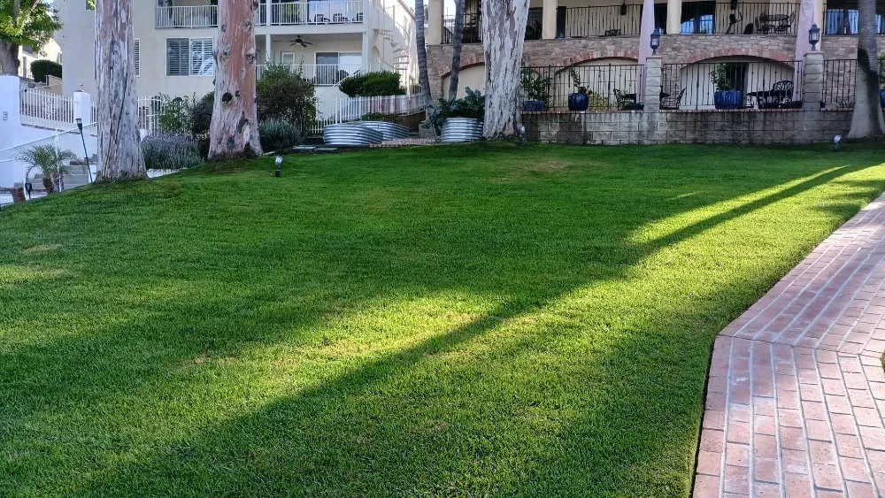 Custom yard maintenance in Romoland, CA by Rafael Gil Landscape