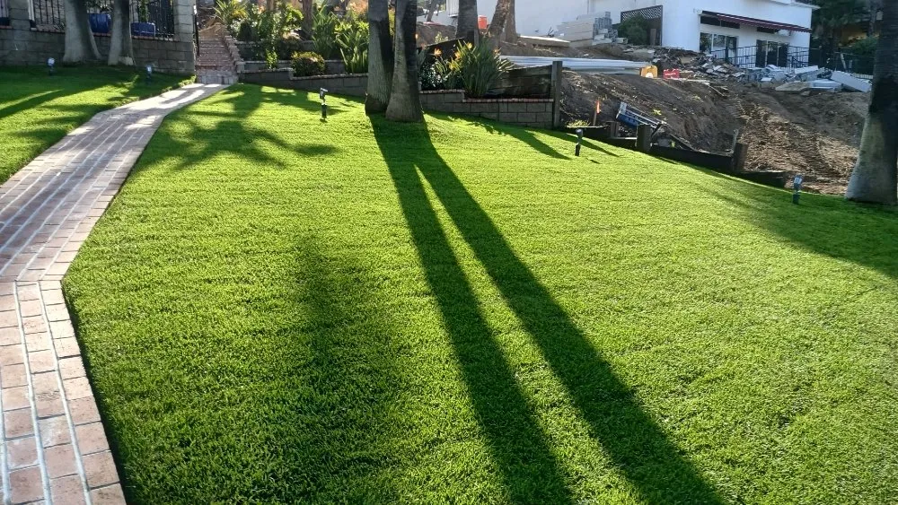 Local landscape installation for homes in Romoland, CA by Rafael Gil Landscape