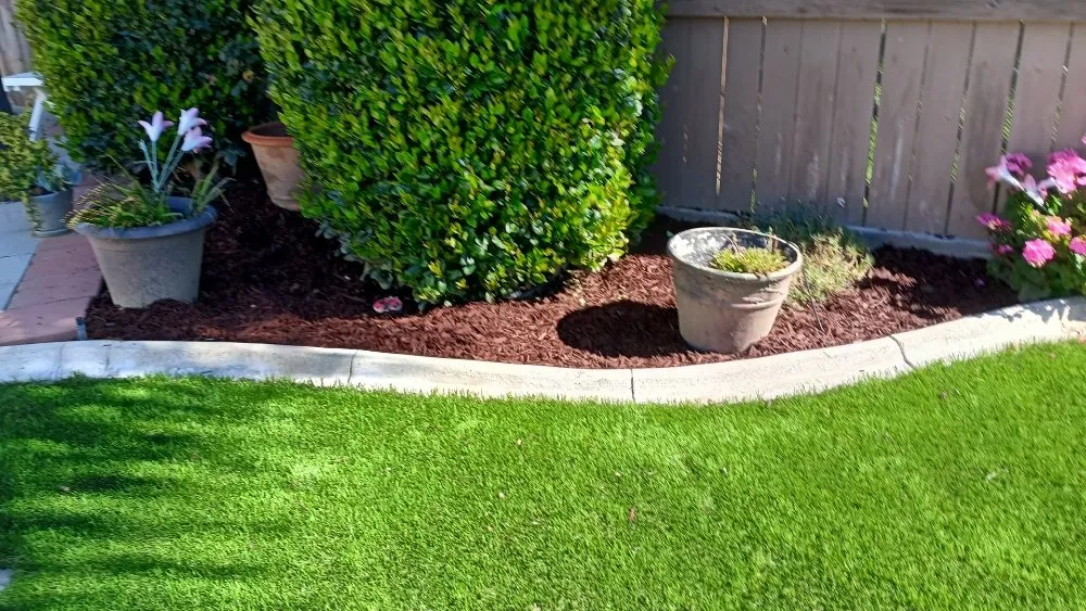 Expert yard cleanup service with custom design across Romoland, CA - Rafael Gil Landscape