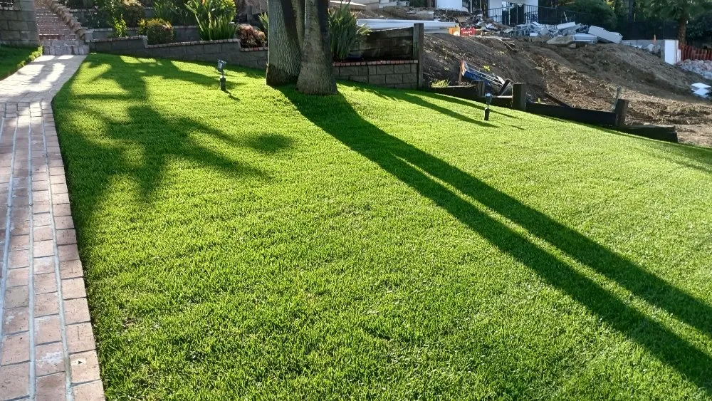 Professional landscape installation in Romoland, CA by Rafael Gil Landscape