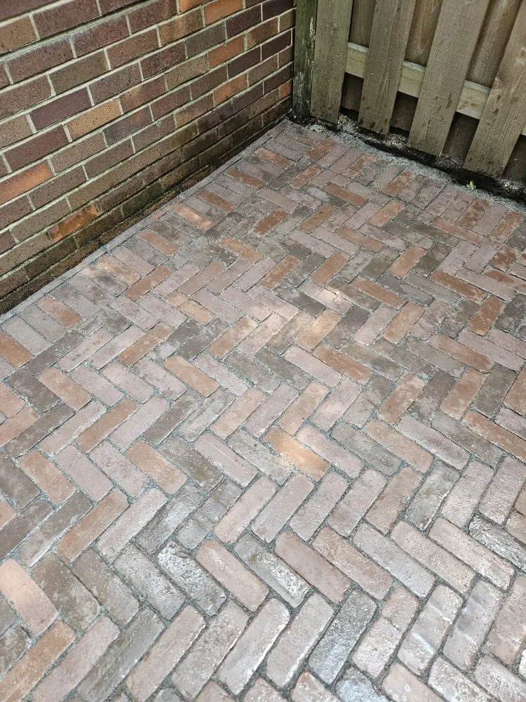 Custom yard maintenance in Chicago, IL - Rafael Landscaping