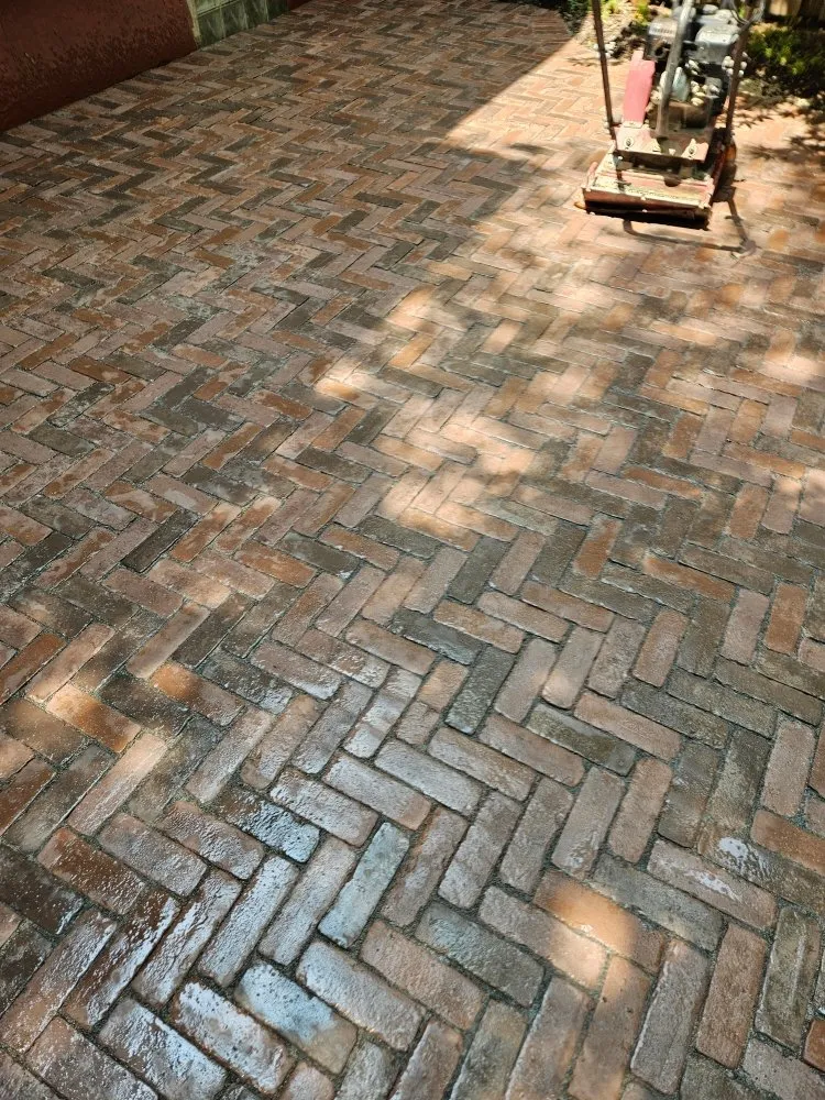 Professional lawn mowing service for beautiful yards across Chicago, IL - Rafael Landscaping