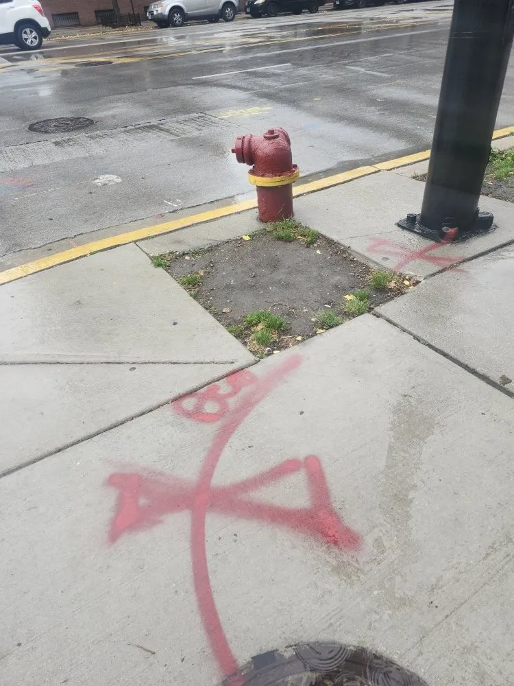 Custom landscaping services for beautiful yards in Chicago, IL by Rafael Landscaping