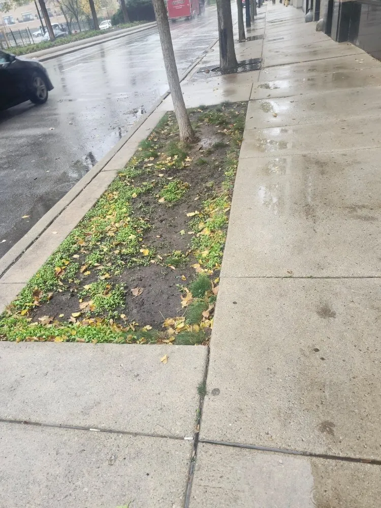 Reliable garden landscaping in Chicago, IL - Rafael Landscaping