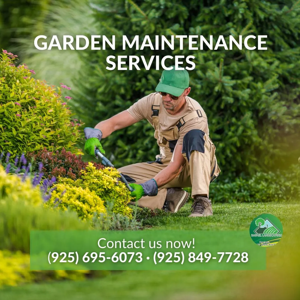 Expert landscaping services in Concord, CA by Rafael Landscaping