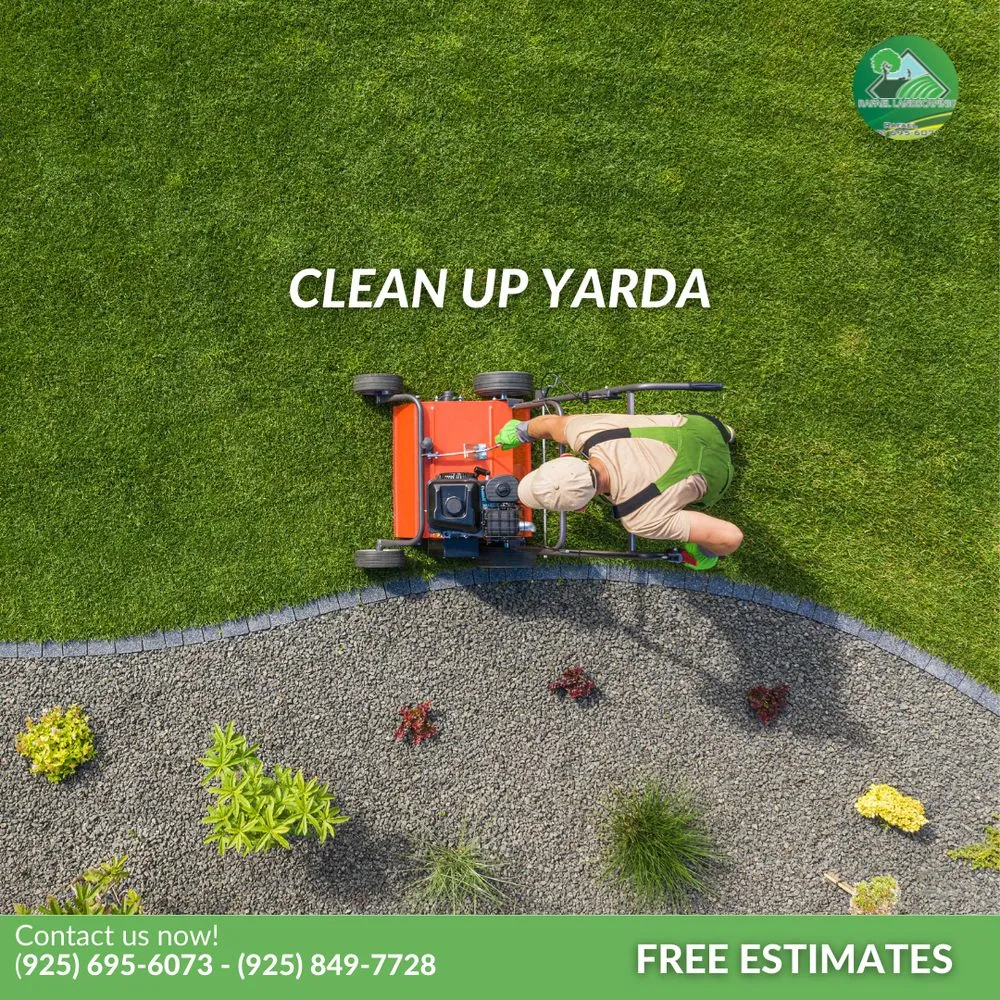 Reliable landscape installation for year-round maintenance across Concord, CA - Rafael Landscaping
