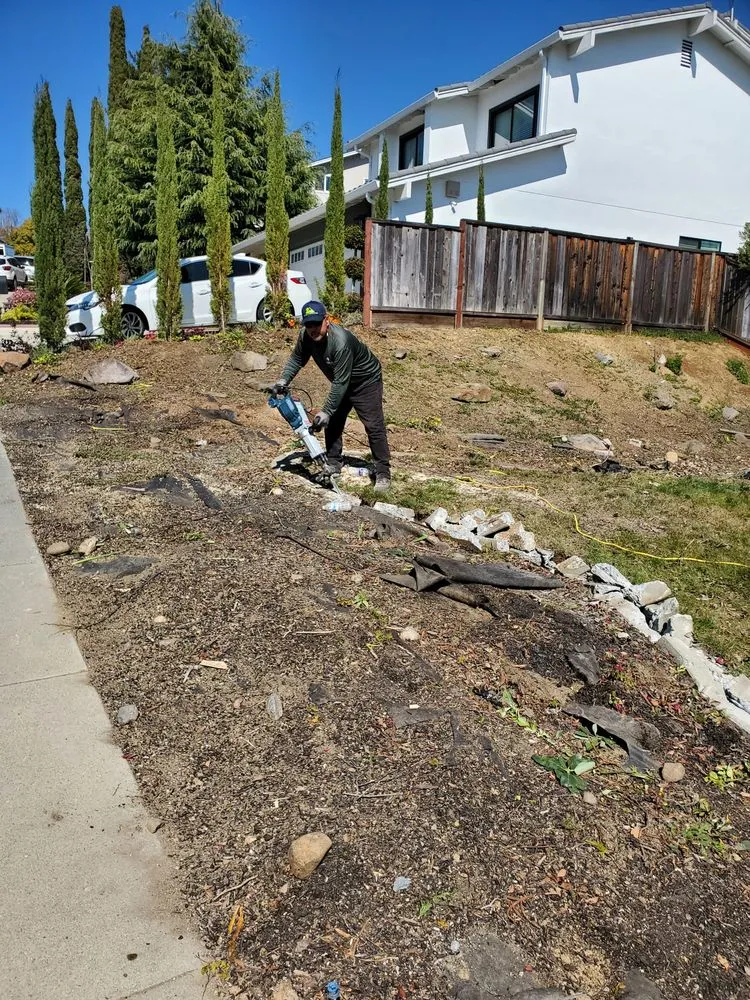 Top-rated landscape installation in Concord, CA - Rafael Landscaping
