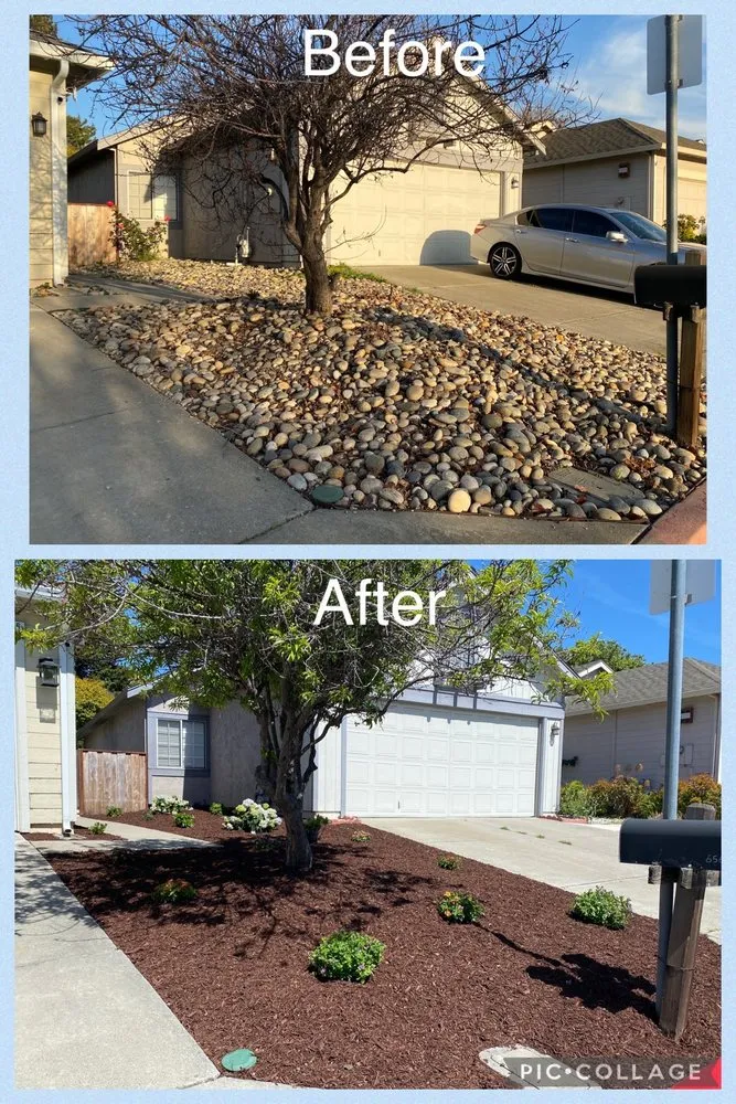 Reliable yard maintenance in Concord, CA by Rafael Landscaping