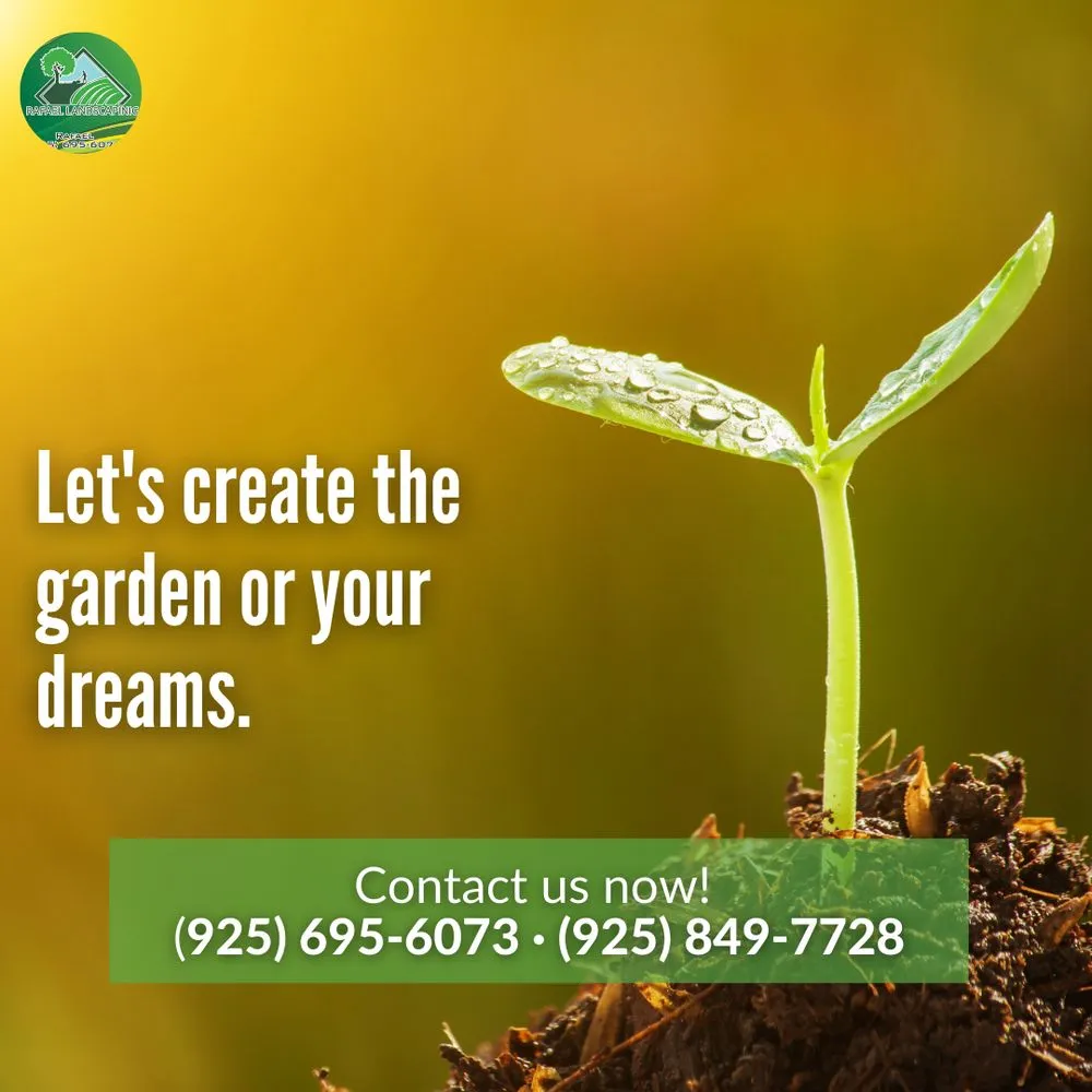 Affordable landscape installation in Concord, CA - Rafael Landscaping