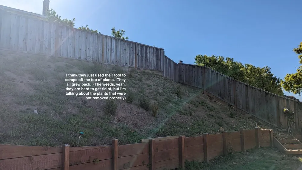 Top-rated lawn care service for residential properties in Concord, CA by Rafael Landscaping