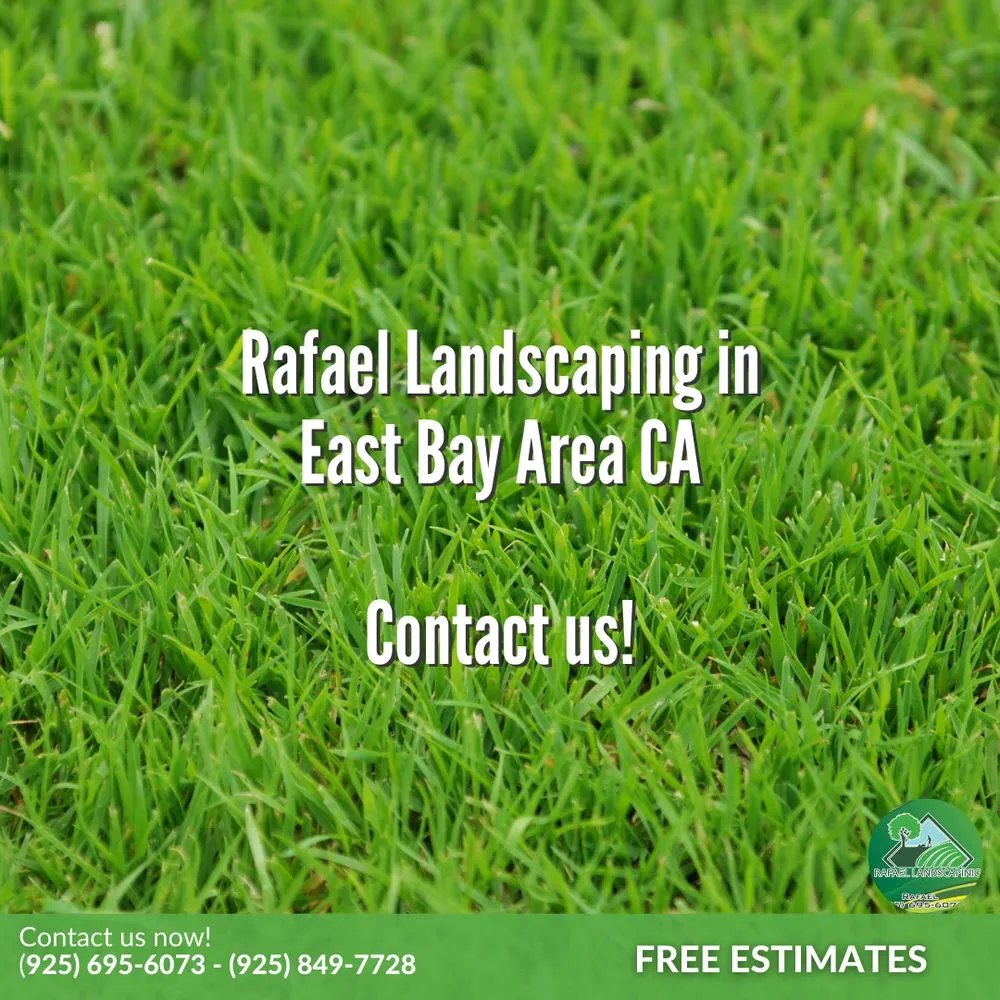 Custom landscape design for homes in Concord, CA by Rafael Landscaping