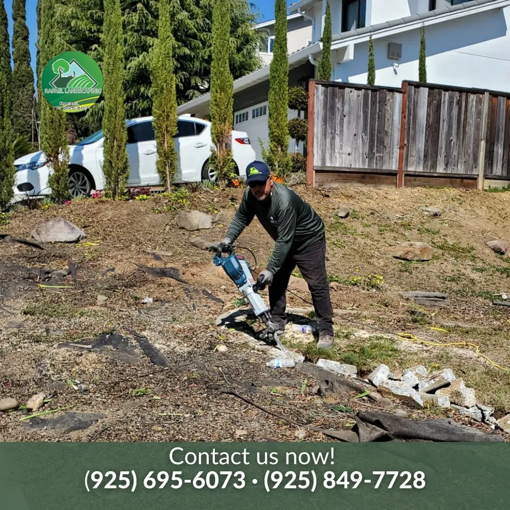 Custom yard maintenance experts serving Concord, CA - Rafael Landscaping