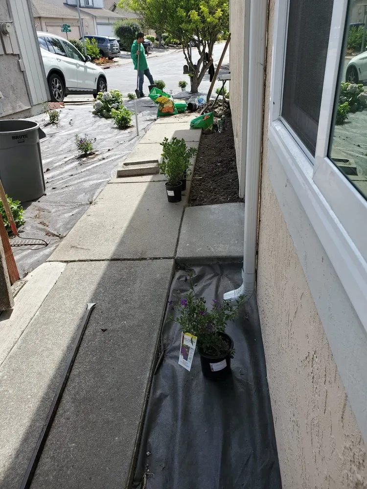 Top-rated residential landscaping in Concord, CA - Rafael Landscaping