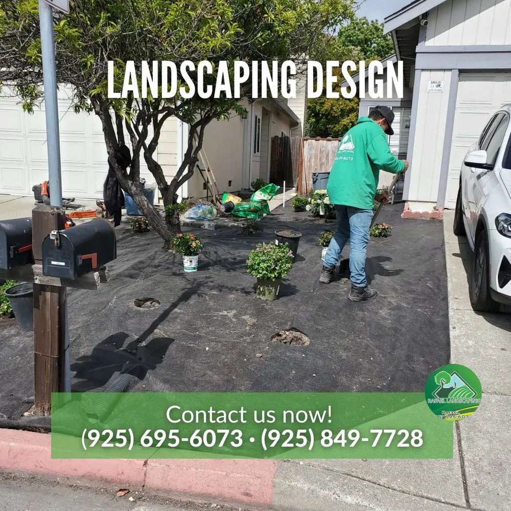 Local garden landscaping experts serving Concord, CA - Rafael Landscaping
