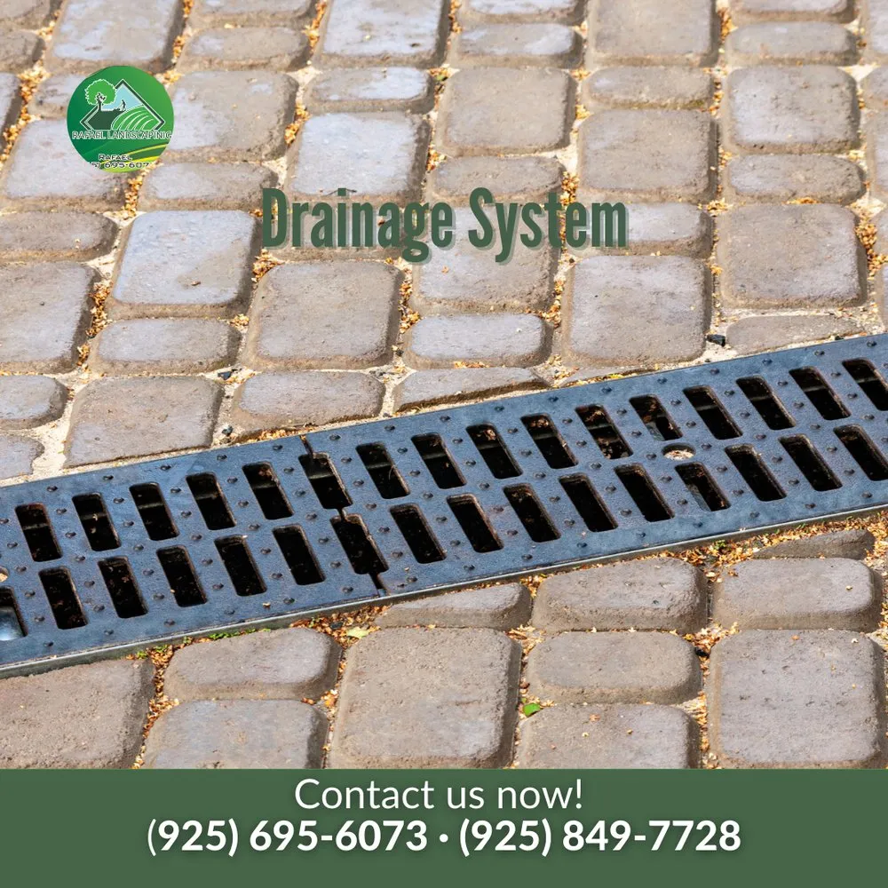 Reliable landscape design in Concord, CA - Rafael Landscaping