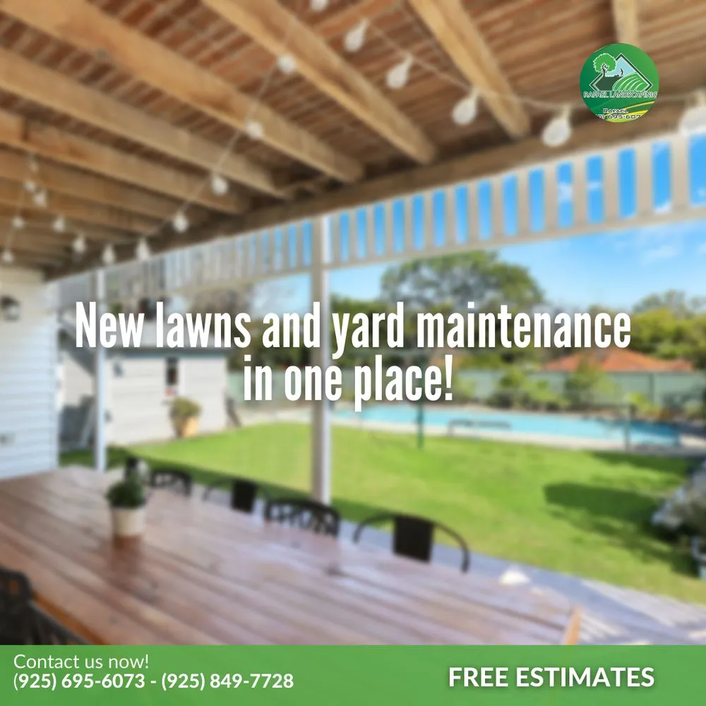 Local lawn mowing service experts serving Concord, CA - Rafael Landscaping