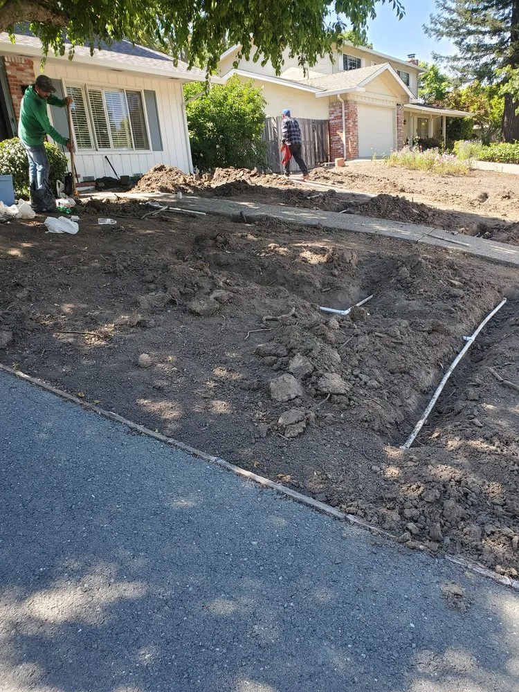 Trusted lawn care service near you in Concord, CA by Rafael Landscaping