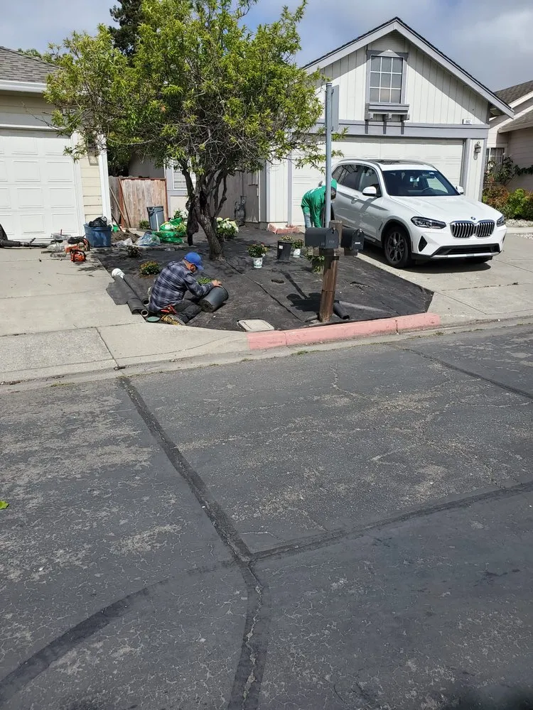 Affordable landscape design in Concord, CA - Rafael Landscaping