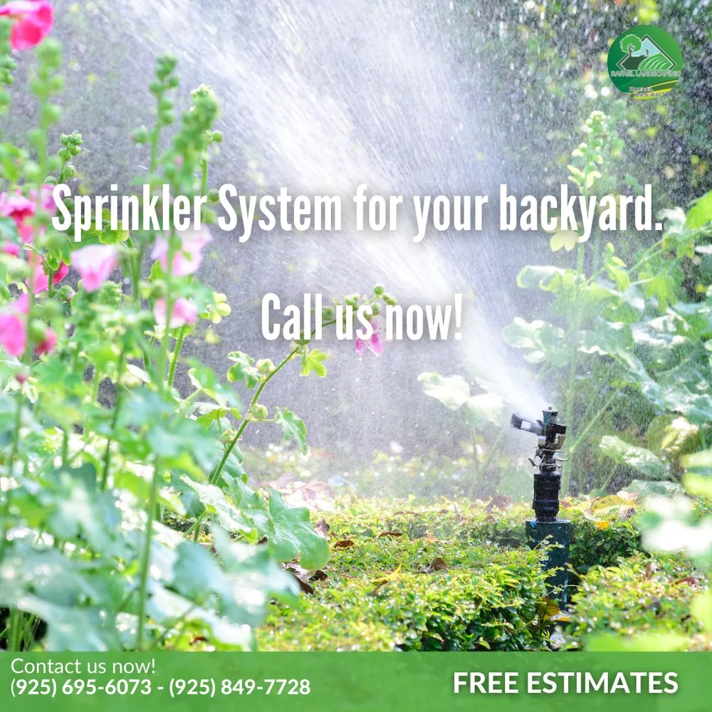 Local lawn care service for outdoor upgrades across Concord, CA - Rafael Landscaping