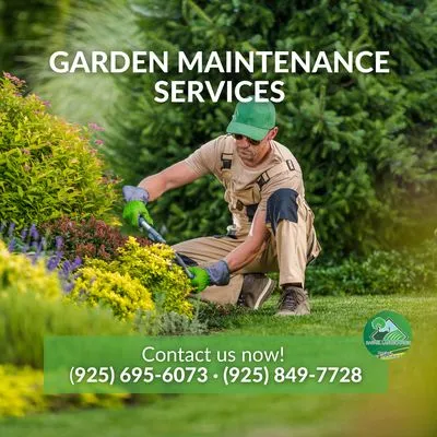 Rafael Landscaping Logo