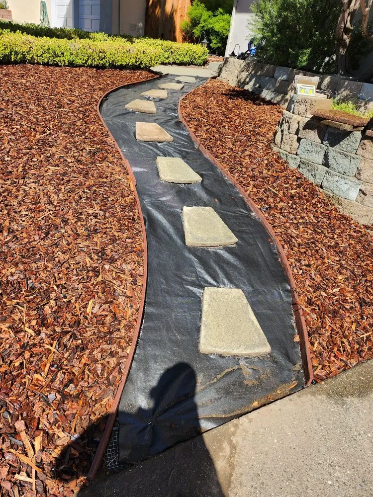Custom landscape design for homes across Millbrae, CA - Rafael Landscaping Services