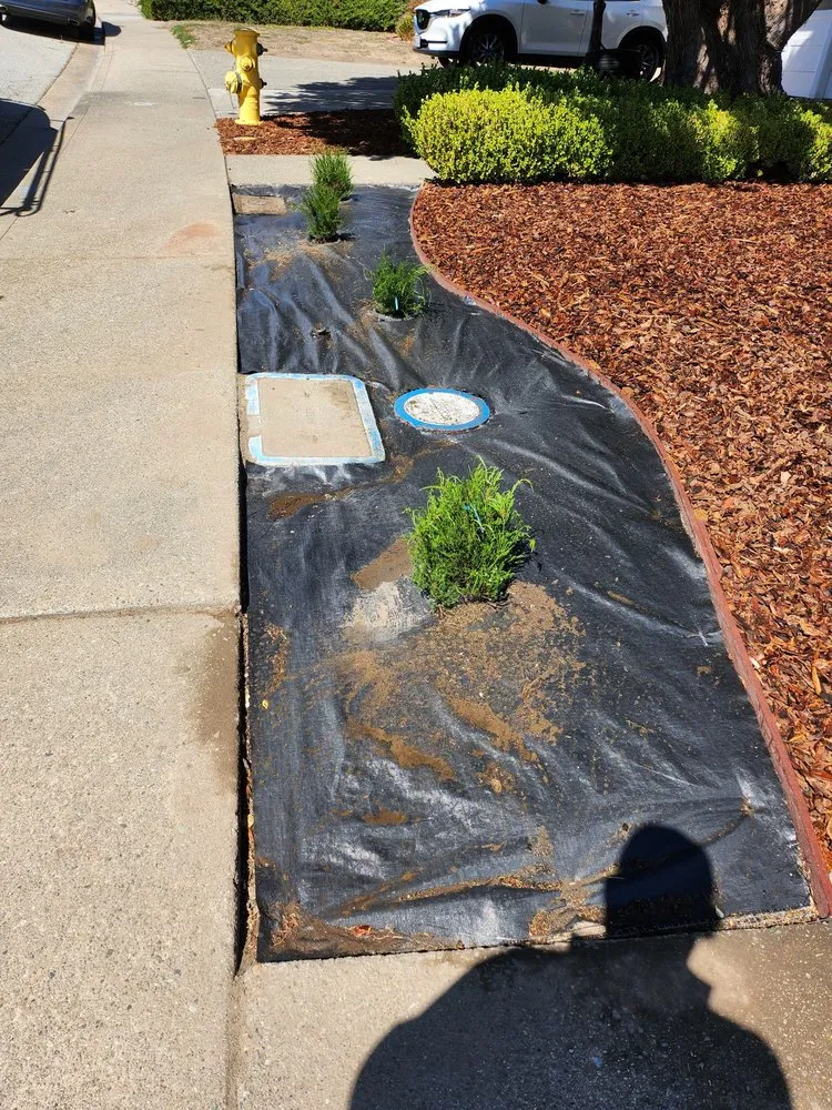 Custom lawn mowing service experts serving Millbrae, CA - Rafael Landscaping Services