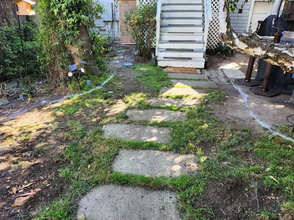 Custom landscape design in Millbrae, CA - Rafael Landscaping Services