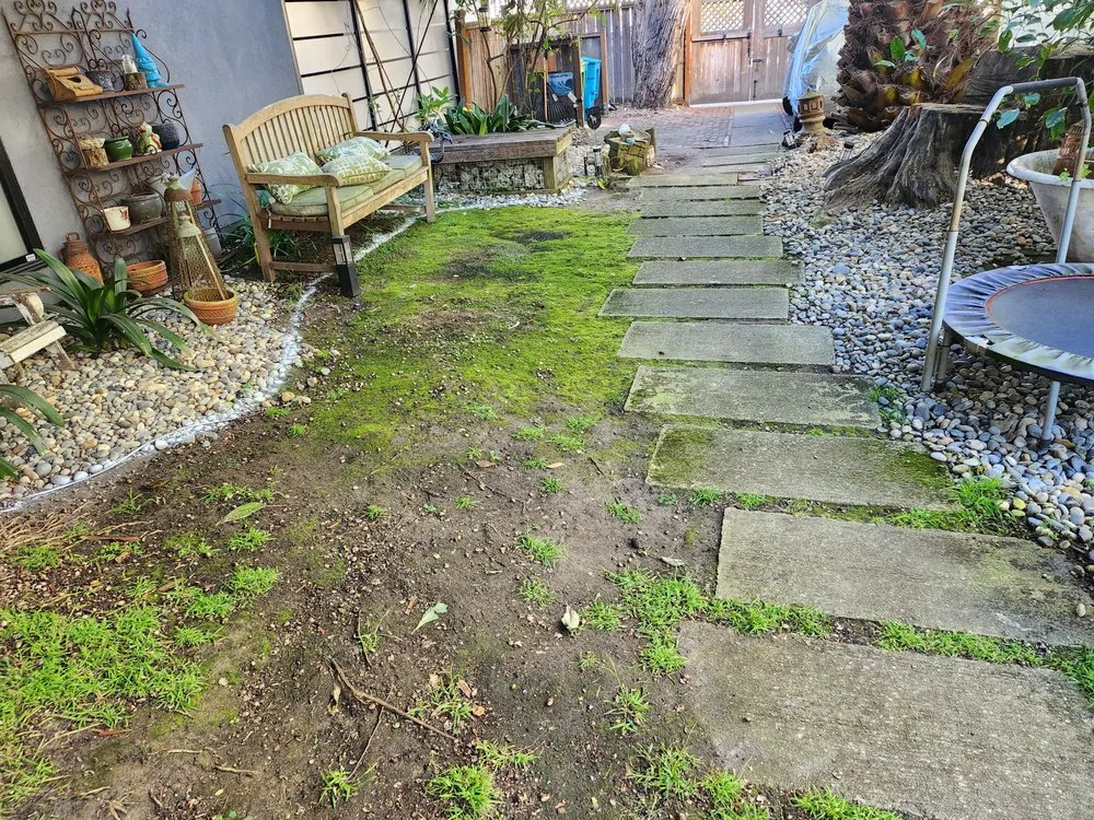 Expert yard cleanup service experts serving Millbrae, CA - Rafael Landscaping Services