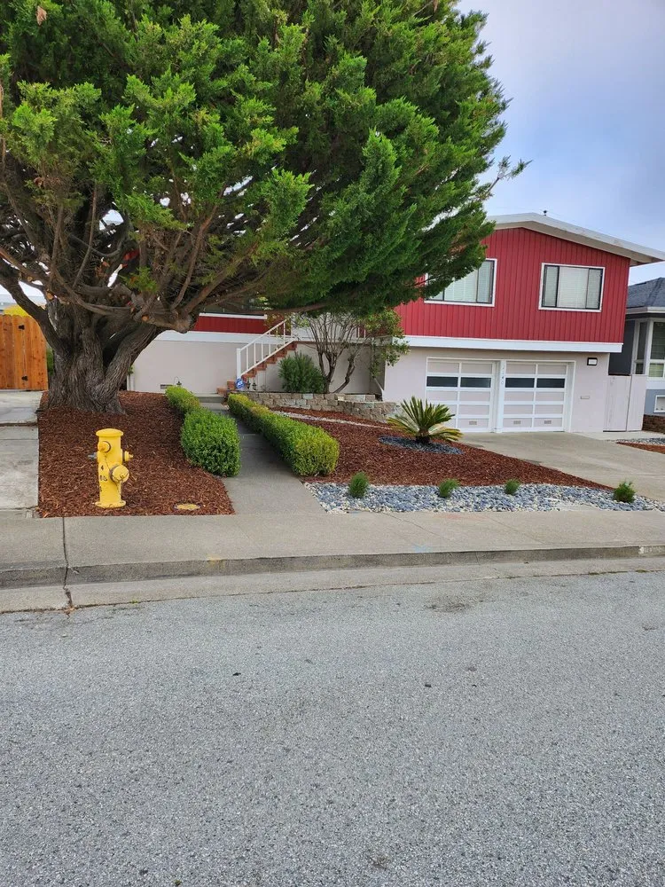 Affordable landscape design for residential properties across Millbrae, CA - Rafael Landscaping Services