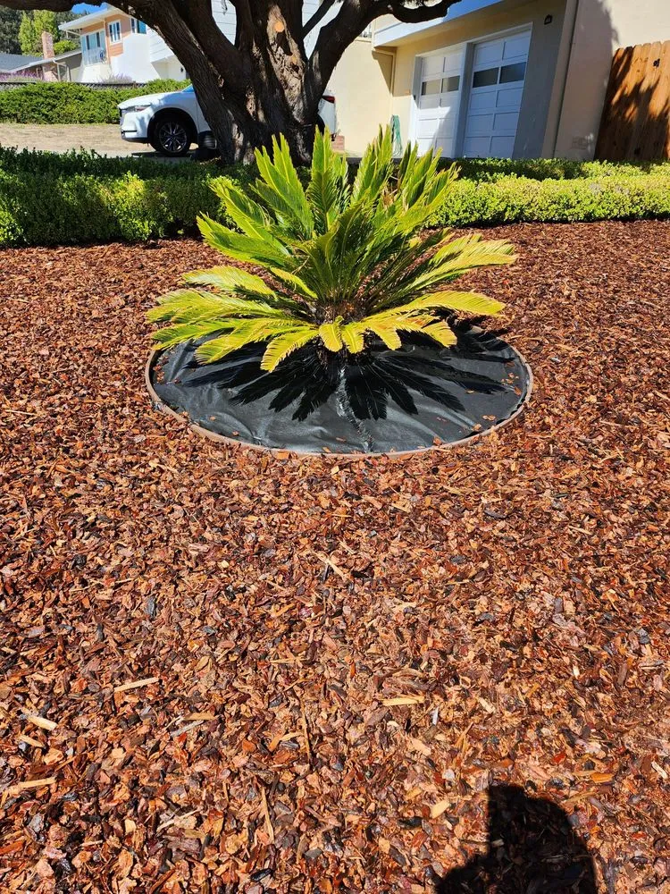 Custom residential landscaping in Millbrae, CA - Rafael Landscaping Services