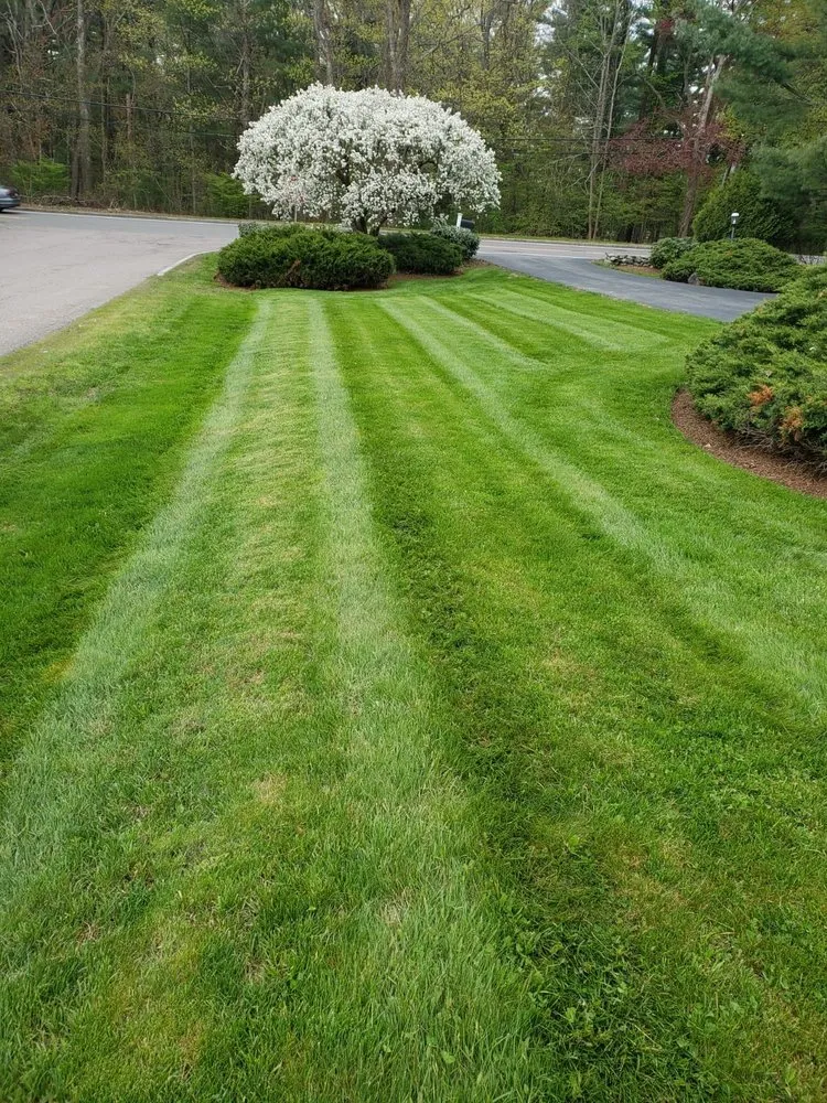 Local landscape design in Waltham, MA - Rafael Landscaping