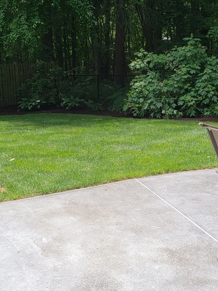 Trusted yard cleanup service for residential properties across Waltham, MA - Rafael Landscaping